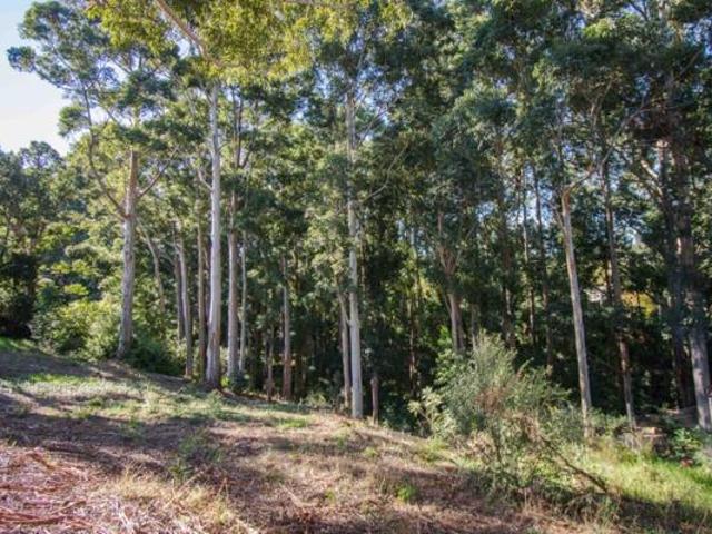 1 794 m² Land available in Golden Hill