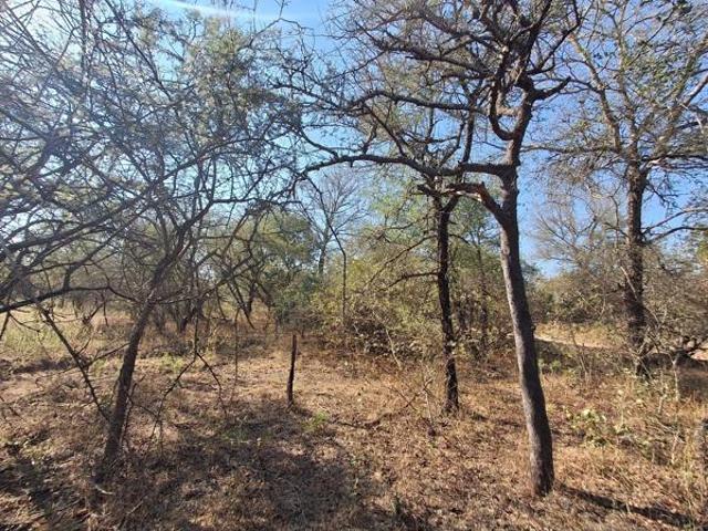 1 700 m² Land available in Marloth Park