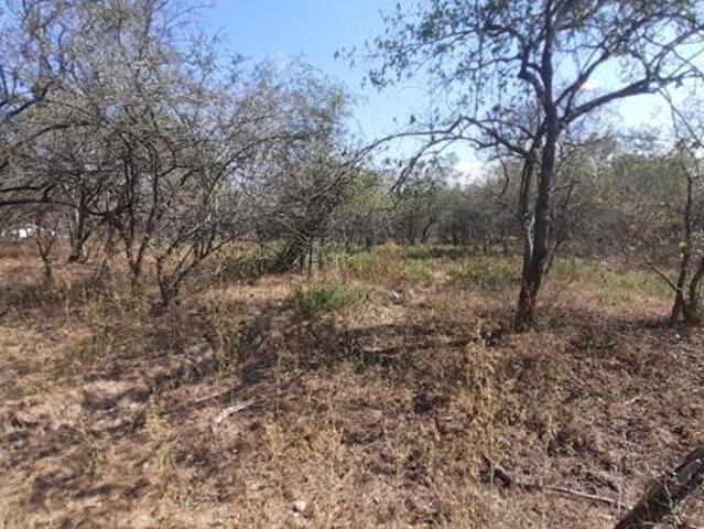 1 700 m² Land available in Marloth Park