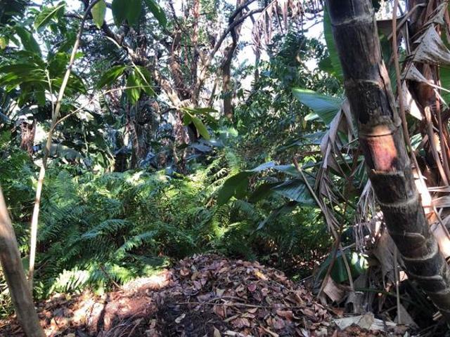 1 718 m² Land available in Trafalgar