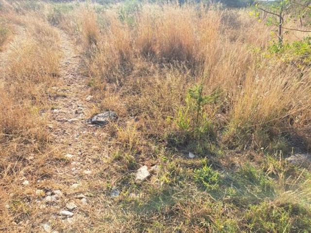 1 734 m² Land available in Sterpark