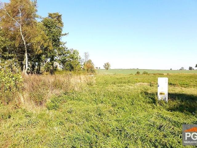 1 7 000 m², Trzebieszewo