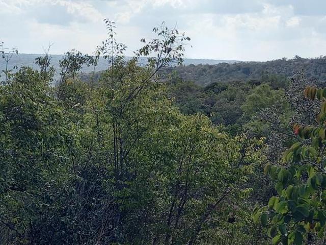 1.7 ha Land available in Modimolle Nylstroom