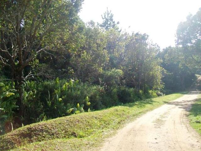 1 842 m² Land available in Palm Beach