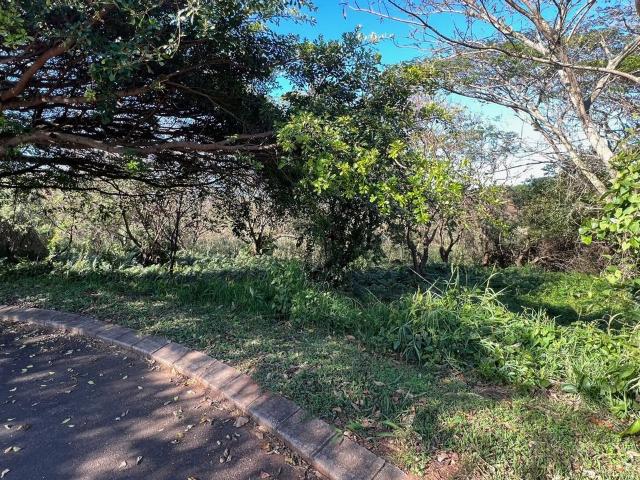 1,851m² Vacant Land For Sale in Zini River Estate