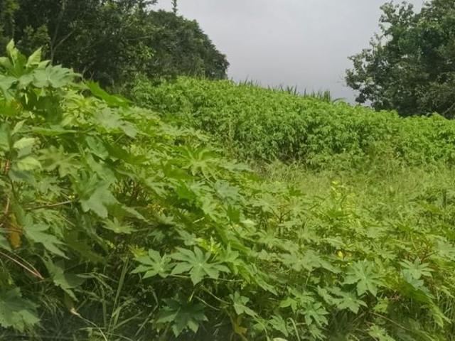 1 859 m² Land available in Sezela