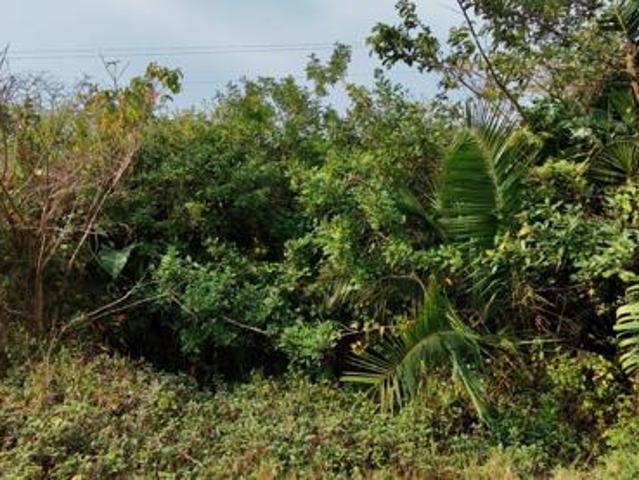 1 880 m² Land available in Palm Beach