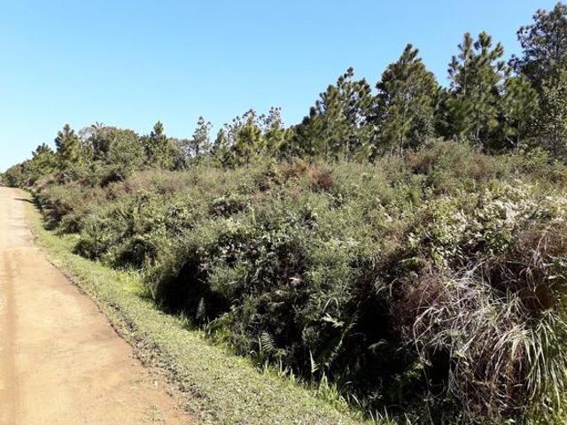 1 880 m² Land available in Palm Beach