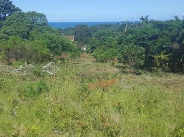 1 813 m² Land available in Palm Beach