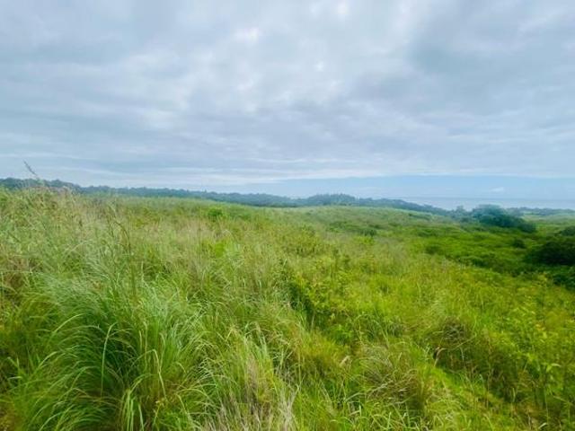 1 822 m² Land available in Port Edward