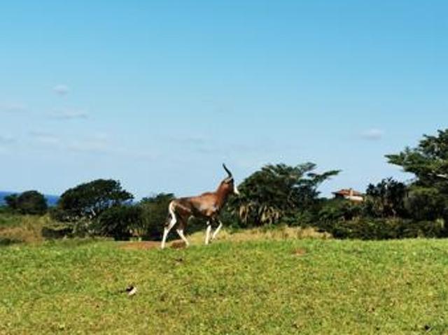 1 824 m² Land available in Port Edward