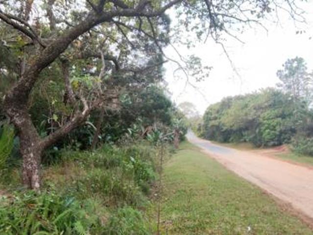 1 826 m² Land available in Palm Beach
