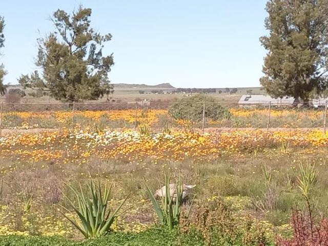 1.8 ha Land available in Nieuwoudtville