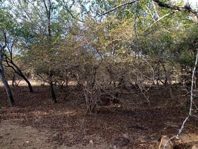 1 950 m² Land available in Marloth Park