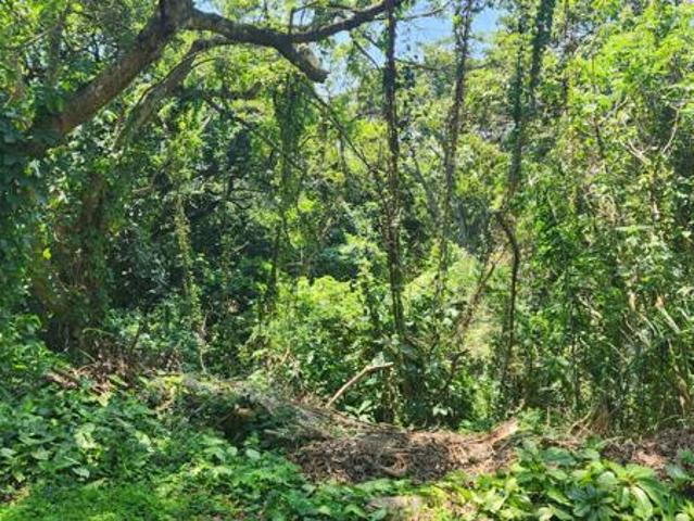 1 957 m² Land available in Umtentweni