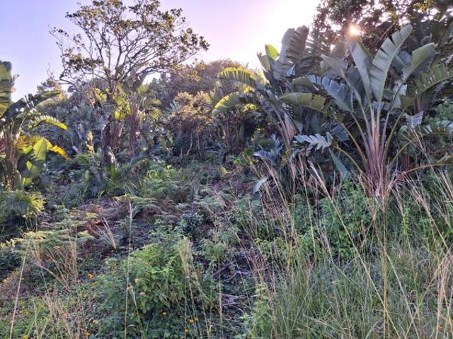 1 980 m² Land available in Palm Beach