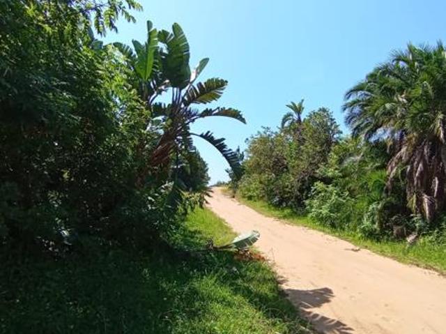 1 990 m² Land available in Palm Beach