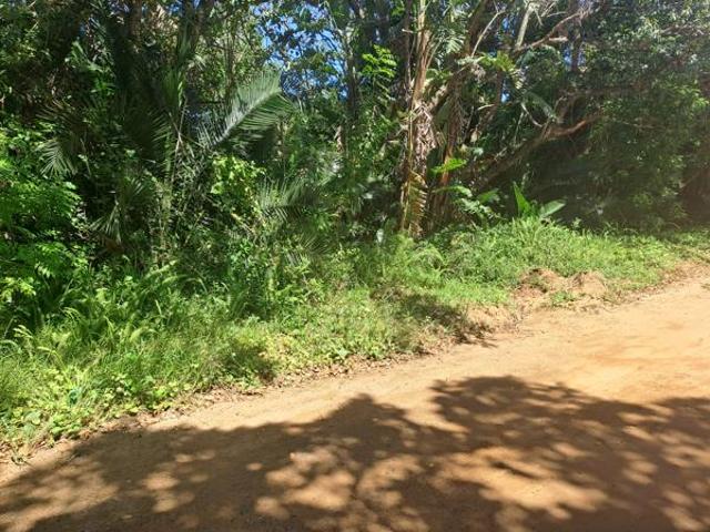 1 996 m² Land available in Palm Beach