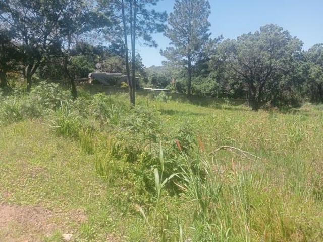 1 996 m² Land available in Palm Beach