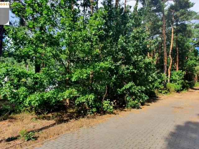 1 998 m², Truskaw