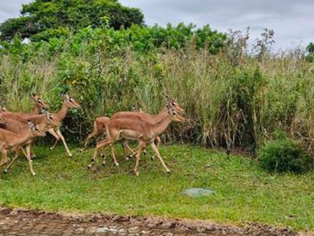 1 999 m² Land available in Leisure Bay
