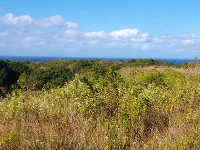 1 999 m² Land available in Leisure Bay