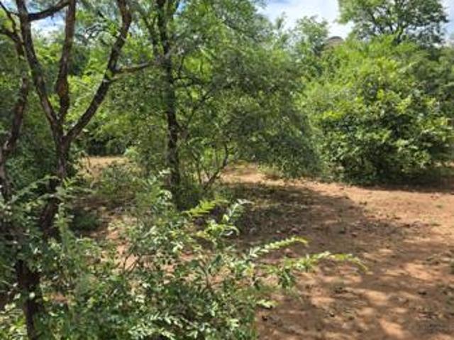 1 902 m² Land available in Marloth Park