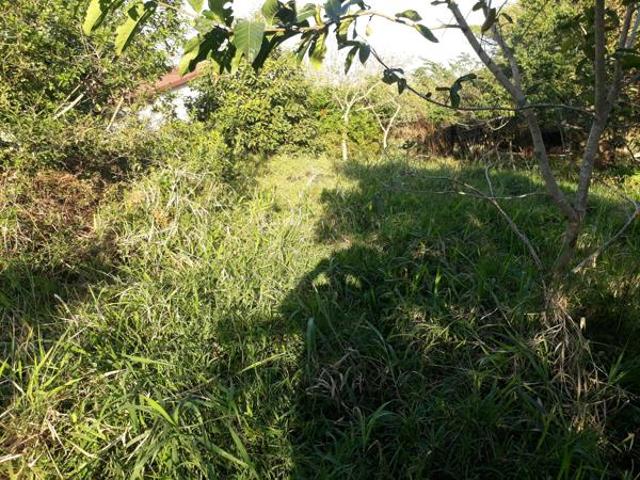 1 911 m² Land available in Bazley Beach