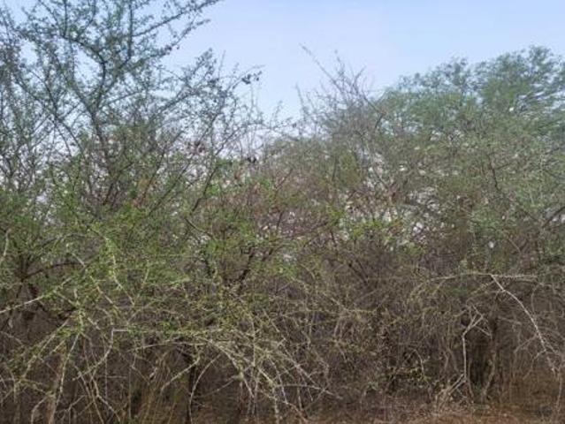 1 917 m² Land available in Marloth Park