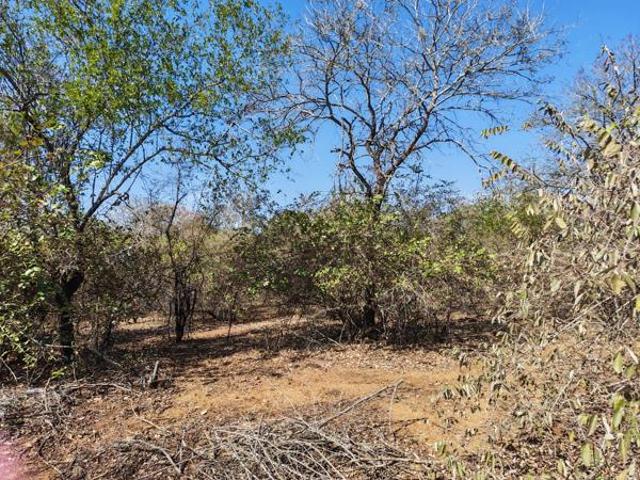 1 917 m² Land available in Marloth Park