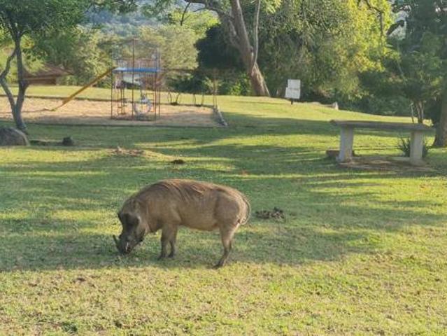 1.9 ha Land available in Wild Fig Estate