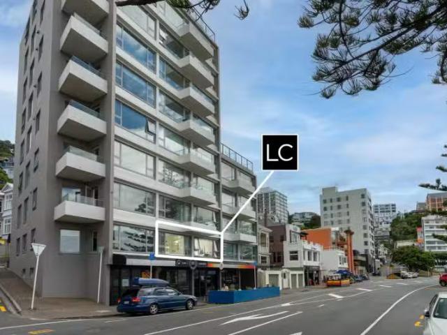 1B/236 Oriental Parade, Oriental Bay, Wellington City