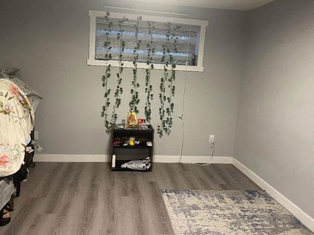 1bedroom Basement In N.e. Corner Meadows