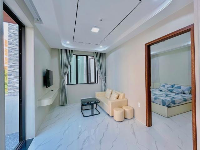 1BR APARTMENT IN SON TRA