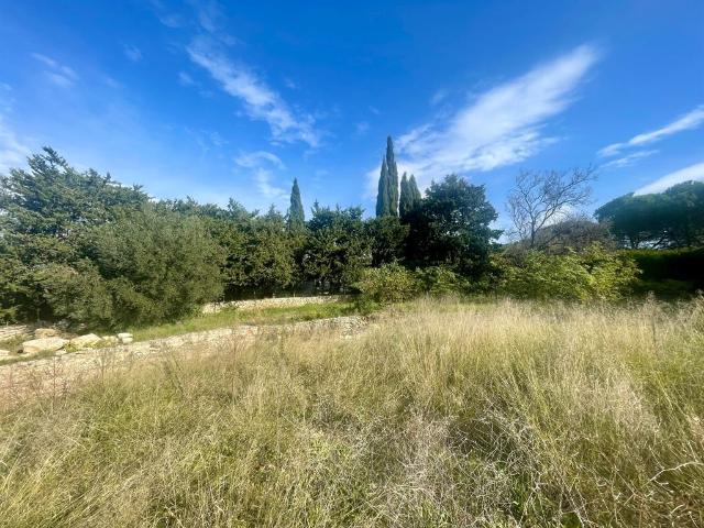 1ère Colline de Castelnau le Lez, Vue Dominante