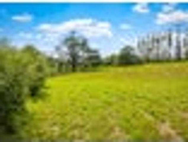 1ha of Possibility, Just Minutes to Silverdale