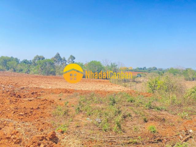 1ha mặt tiền nhựa chính vào thác pongour, phú hội cũ, đức trọng, lâm đồng