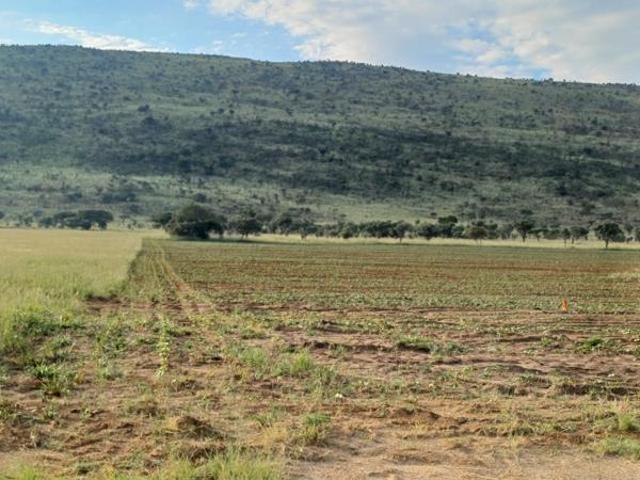 23.9 ha Land available in Bultfontein AH
