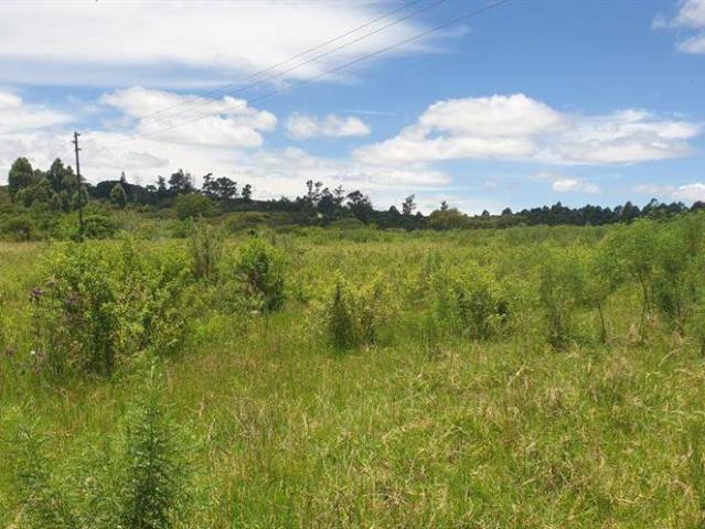 23 ha Farm in White River AH