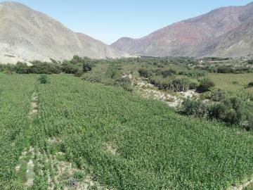23 héctareas de terreno agrícola o club campestre con manantial, Asia, Coayllo