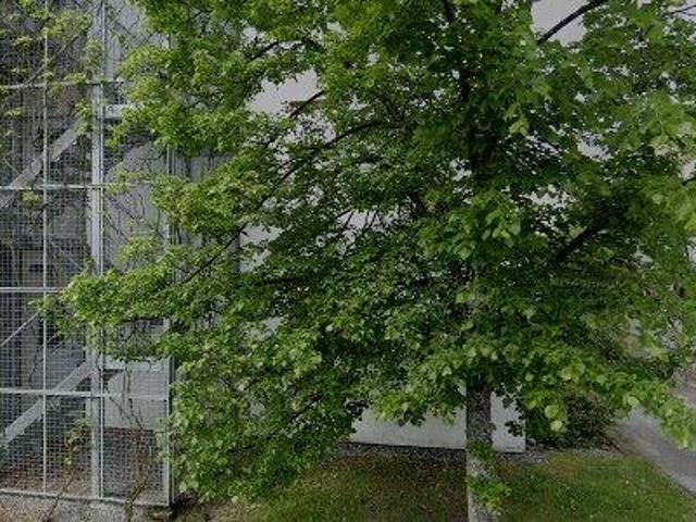 23 m2 lägenhet uthyres i Solna