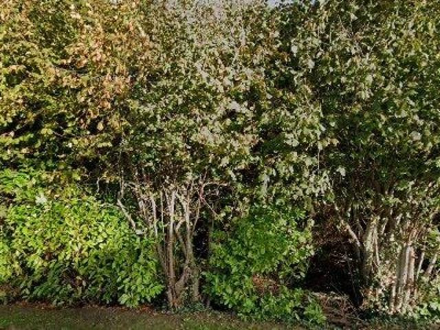 23 m2 office space for sale in Malahide