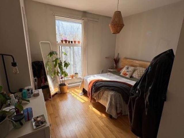2007 Av. Du Mont Royal E. Montréal Le Plateau Mont Royal, QC, H2H 1J6 lease for lease | Listing ID 16649 | Royal LePage