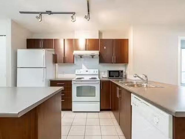 2009 1178 Heffley Crescent, Coquitlam, BC, V3B 0A7 Single Fa.