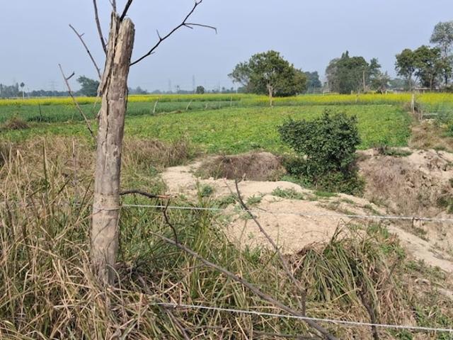 2000 Sq.Ft. Plot in Mahanagar Lucknow Listing ID: #10275