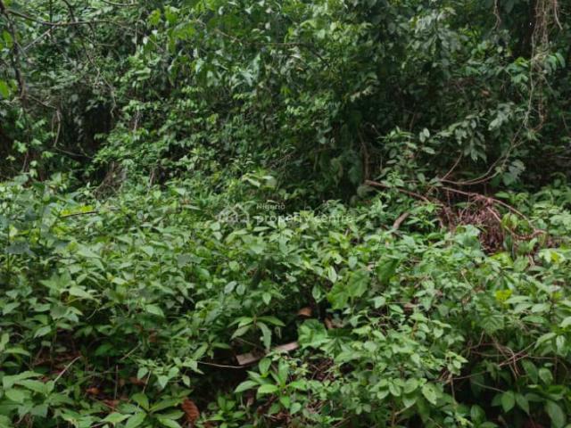 100acres Of Farm Land