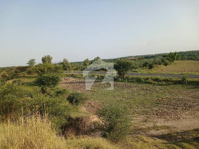 200 Kanal Agriculture Land For Sale Nella Dulla