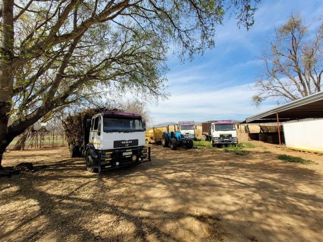 200 ha Farm in Greytown