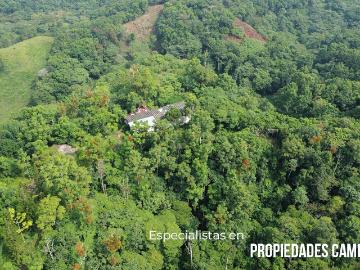 200 HECT?REAS PARA AGROFORESTER?A