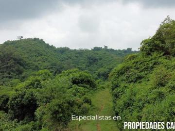 200 HECTÁREAS PARA AGROFORESTERÍA